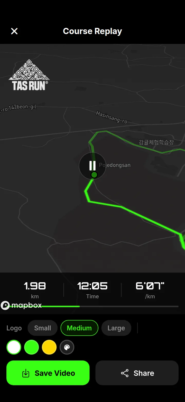 TAS RUN Strecken-Replay