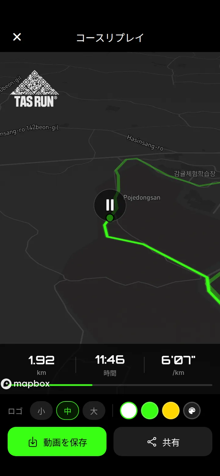 TAS RUN コースリプレイ画面